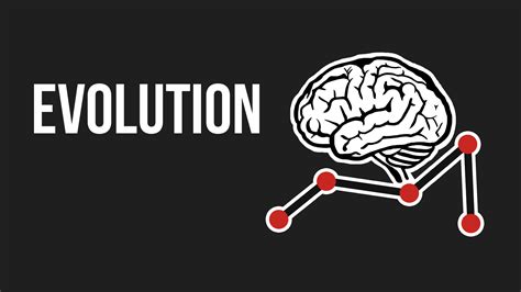 evolution by keiwan|Evolution 3.0 .